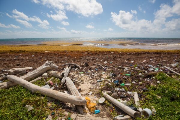 <strong>環境に優しいプラスチックをご紹介！</strong>