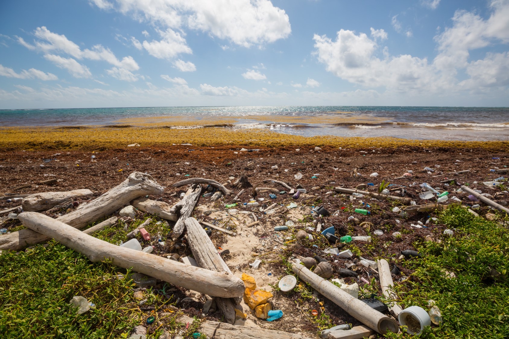 環境に優しいプラスチックをご紹介！ - プラスチック成形